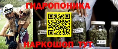 PSILOCYBIN Ирбит