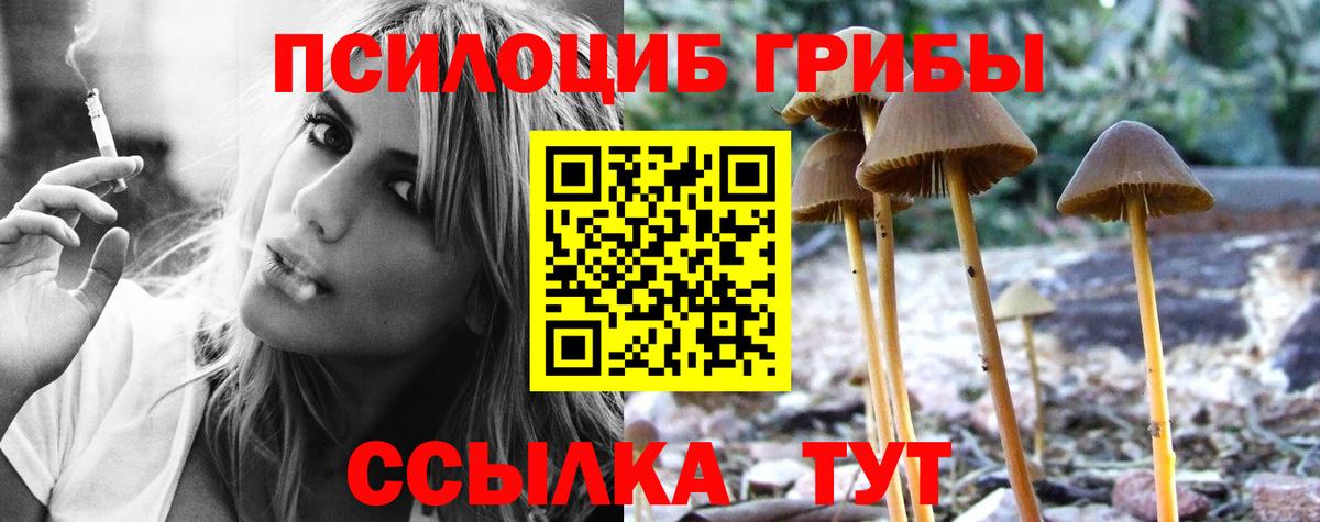 Галлюциногенные грибы GOLDEN TEACHER  Псилоцибиновые грибы Psilocybine cubensis  Вход с VPN  цена   Кубинка 