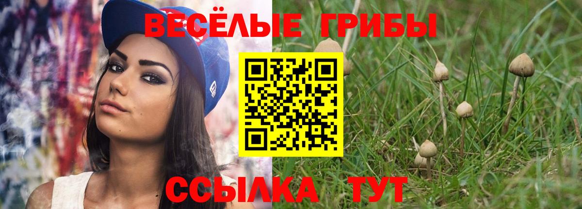 Галлюциногенные грибы GOLDEN TEACHER Кубинка